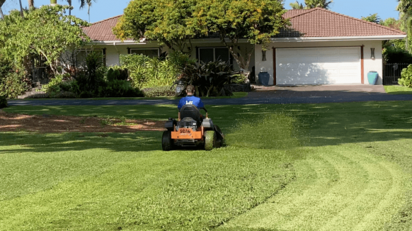 How Can You Create a Pet-Friendly Garden in Hawaii Without Harming Your Plants?