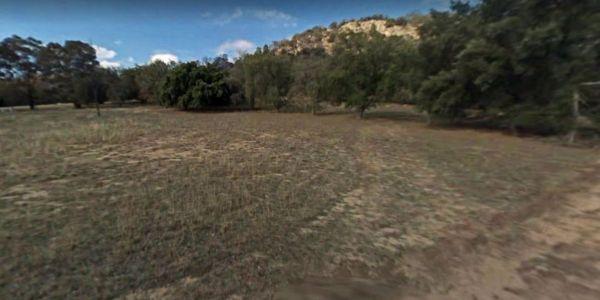 Mount Beckworth Scenic Reserve - Cork Oaks - Camping Area