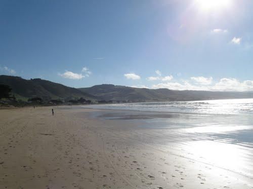 Apollo Bay Rest Area