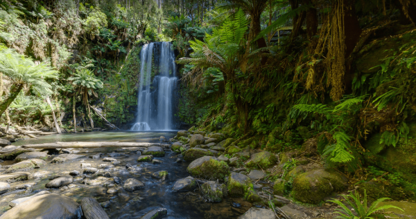 Beauchamp Falls Reserve