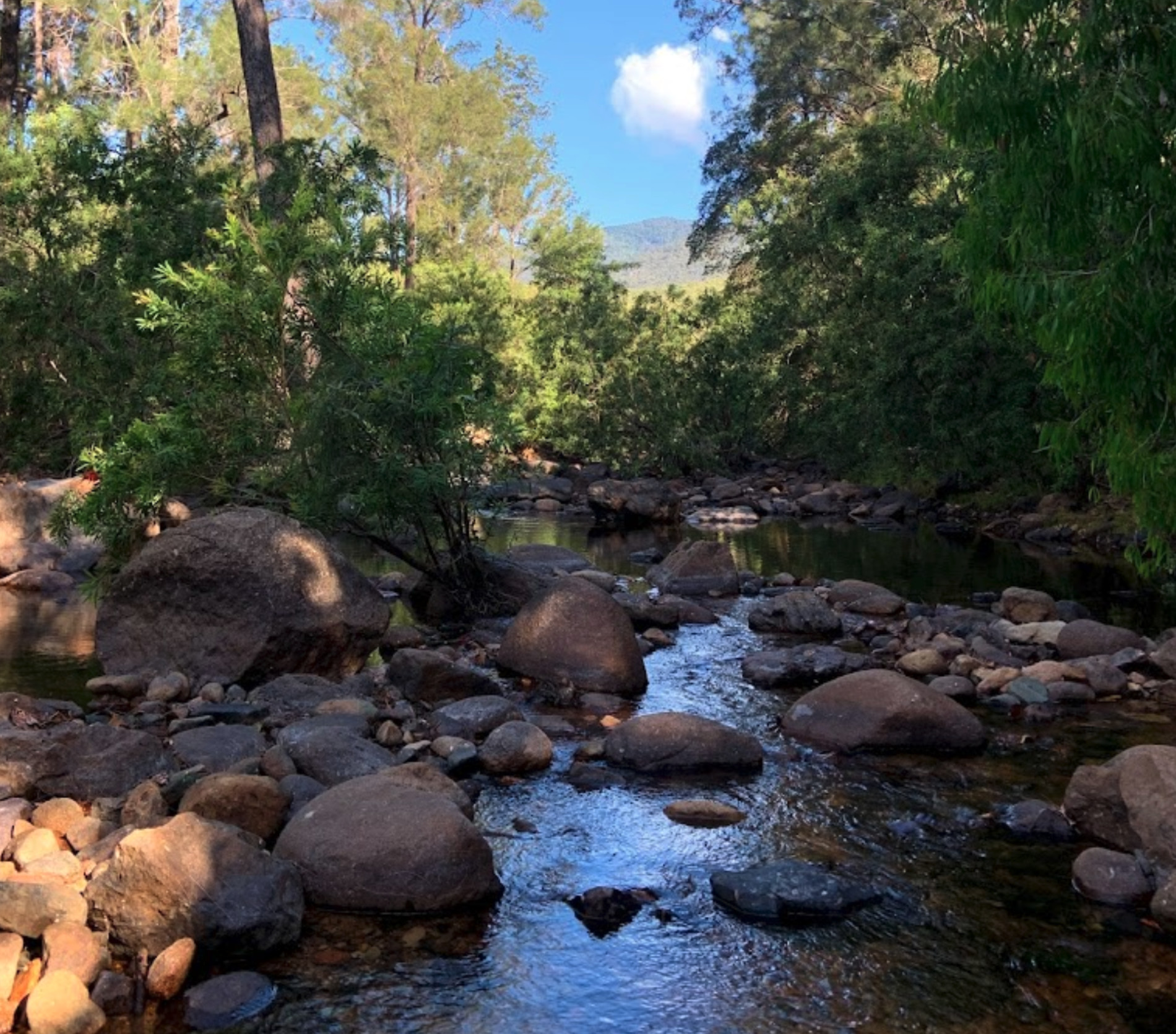 Alligator Creek Camping Area Caravan on Tour